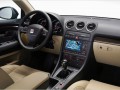 Technical specifications and characteristics for【Seat Exeo ST】