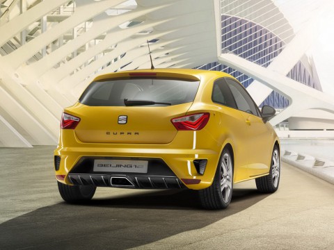 Technical specifications and characteristics for【Seat Ibiza Cupra IV】