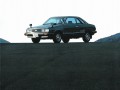 Subaru Leone Leone I (AB) 1300 (61 Hp) full technical specifications and fuel consumption