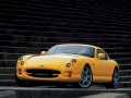Technical specifications and characteristics for【TVR Cerbera】