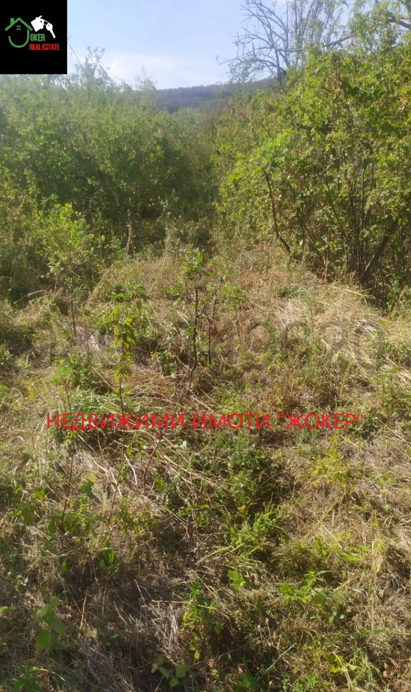 For Sale  Land region Veliko Tarnovo , Sheremetya , 750 dka | 30790186 - image [2]