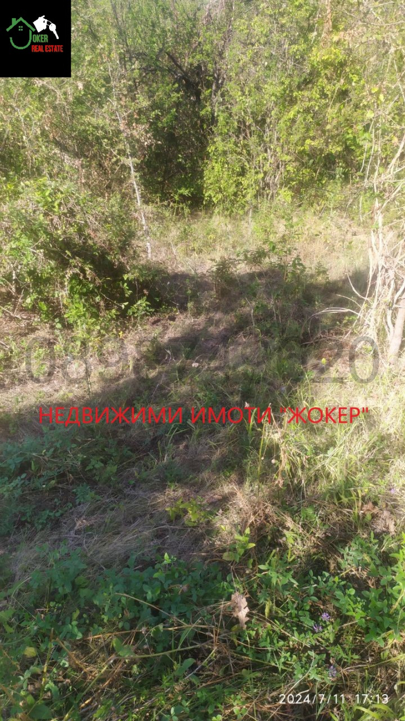 For Sale  Land region Veliko Tarnovo , Sheremetya , 750 dka | 30790186 - image [9]