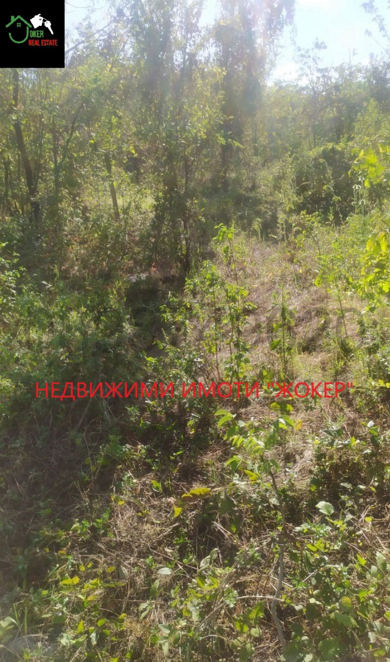 Te koop  Land regio Veliko Tarnovo , Sjeremetja , 750 dka | 30790186 - afbeelding [4]