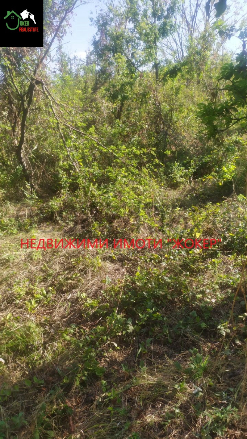 For Sale  Land region Veliko Tarnovo , Sheremetya , 750 dka | 30790186 - image [13]