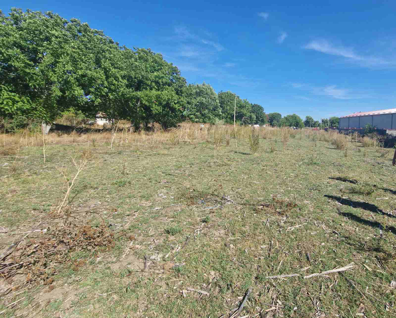 For Sale  Plot region Razgrad , Seydol , 19576 sq.m | 87371981 - image [4]