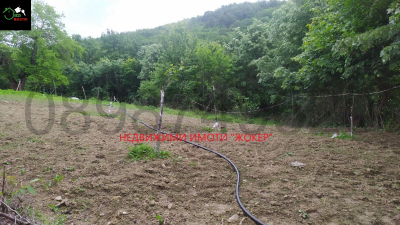 For Sale  Plot region Veliko Tarnovo , Gabrovtsi , 2011 sq.m | 22426845 - image [2]