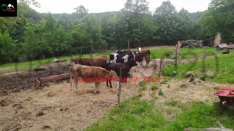 For Sale  Plot region Veliko Tarnovo , Gabrovtsi , 2011 sq.m | 22426845 - image [5]