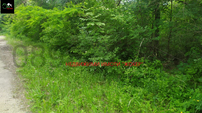 For Sale  Land region Gabrovo , Salasuka , 7297 dka | 15483929 - image [9]