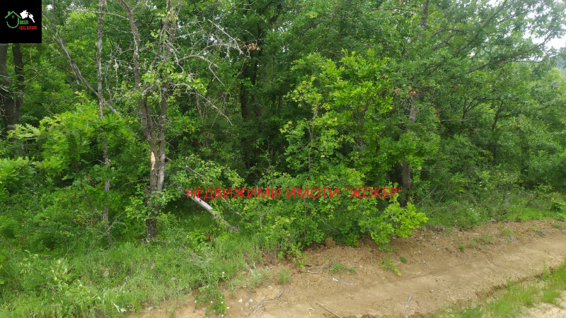 For Sale  Land region Gabrovo , Salasuka , 7297 dka | 15483929 - image [7]