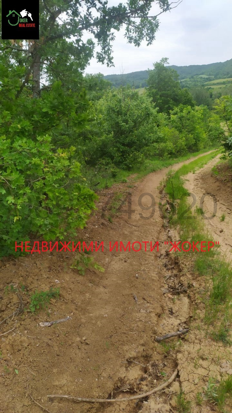 Te koop  Land regio Gabrovo , Salasuka , 7297 dka | 15483929 - afbeelding [6]