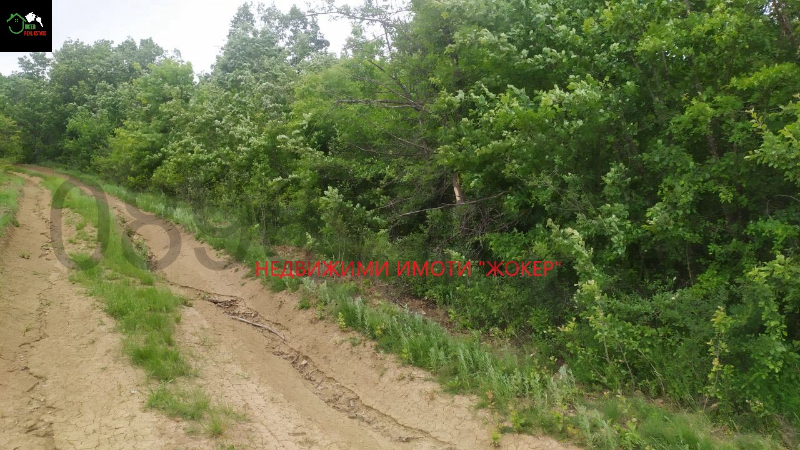 For Sale  Land region Gabrovo , Salasuka , 7297 dka | 15483929 - image [5]