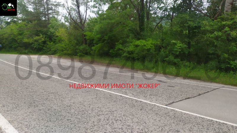 For Sale  Land region Gabrovo , Salasuka , 7297 dka | 15483929 - image [4]