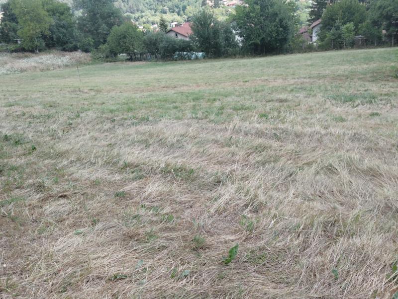 Продава  Парцел, област София, с. Свидня • 30 000 EUR • ID 69090656 — holmes.bg - [1] 
