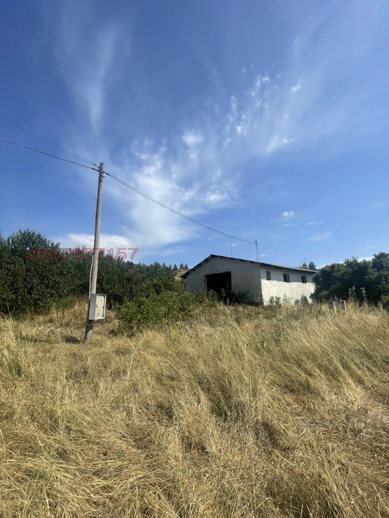 Продава ПАРЦЕЛ, с. Долни Романци, област Перник, снимка 4 - Парцели - 52519965