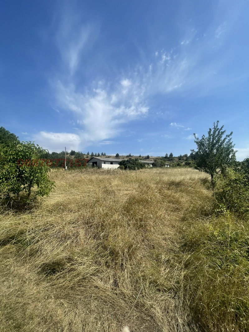 Продава ПАРЦЕЛ, с. Долни Романци, област Перник, снимка 2 - Парцели - 52519965