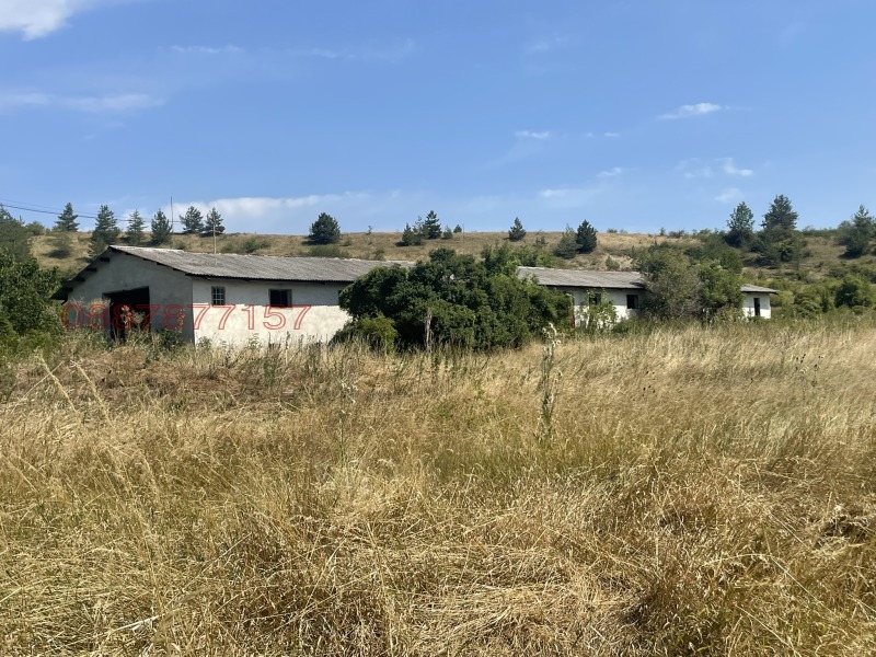 Продава ПАРЦЕЛ, с. Долни Романци, област Перник, снимка 13 - Парцели - 52519965