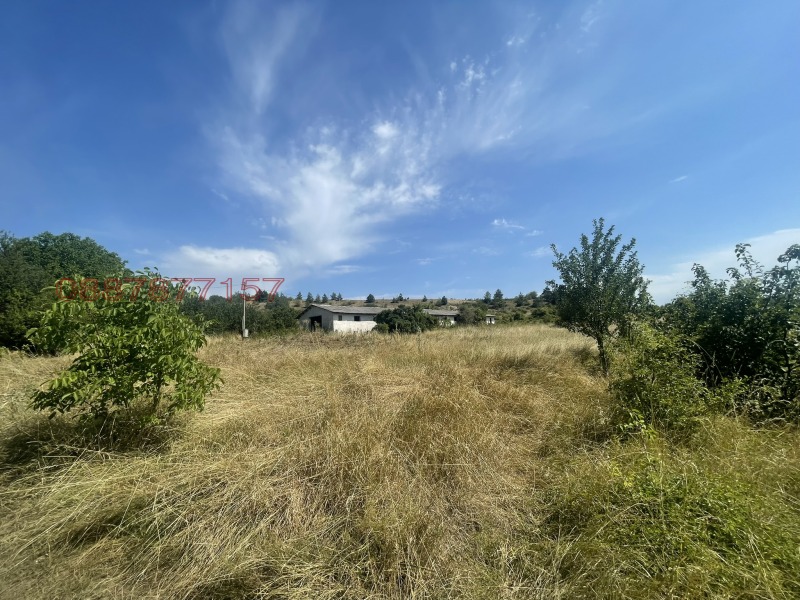 Продава ПАРЦЕЛ, с. Долни Романци, област Перник, снимка 3 - Парцели - 52519965