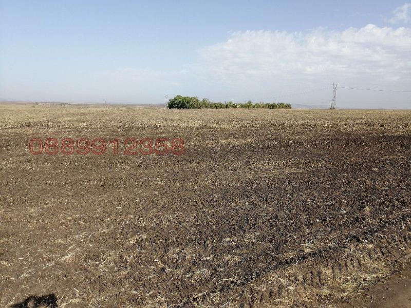 Продава ЗЕМЕДЕЛСКА ЗЕМЯ, гр. Бургас, област Бургас, снимка 3 - Земеделска земя - 52782688