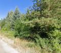 Продава ПАРЦЕЛ, гр. София, с. Бистрица, снимка 3