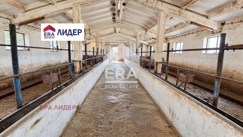 ������� ����� | Imot.bg � ����������� 10