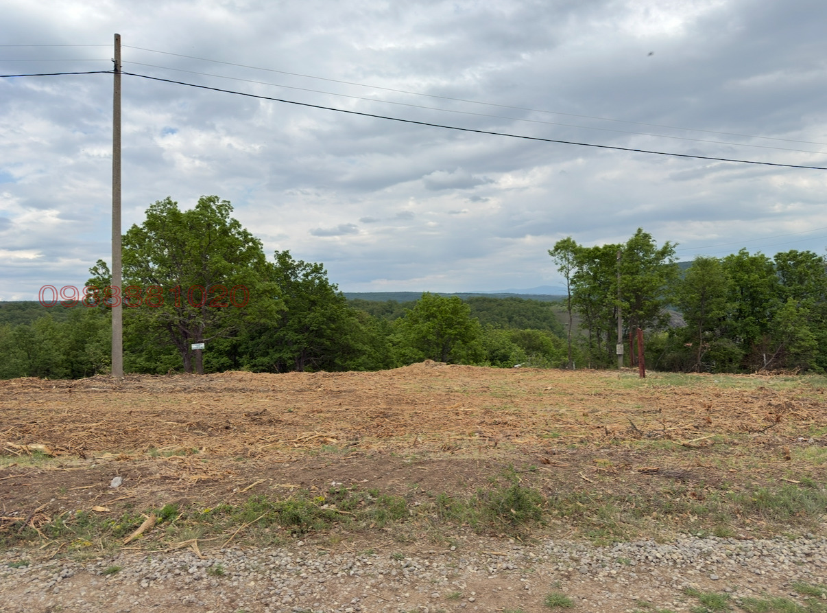 ������� ������ | Imot.bg � ����������� 1