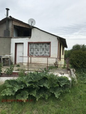 ����� ������� ����,���� ������, �-� ��������