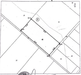 ����� ������� ������,�. �������, ������ �����