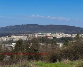 ����� ������� ������,���� �������, ������