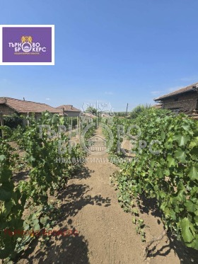 ������� ���� | Imot.bg � ����� ������ 8