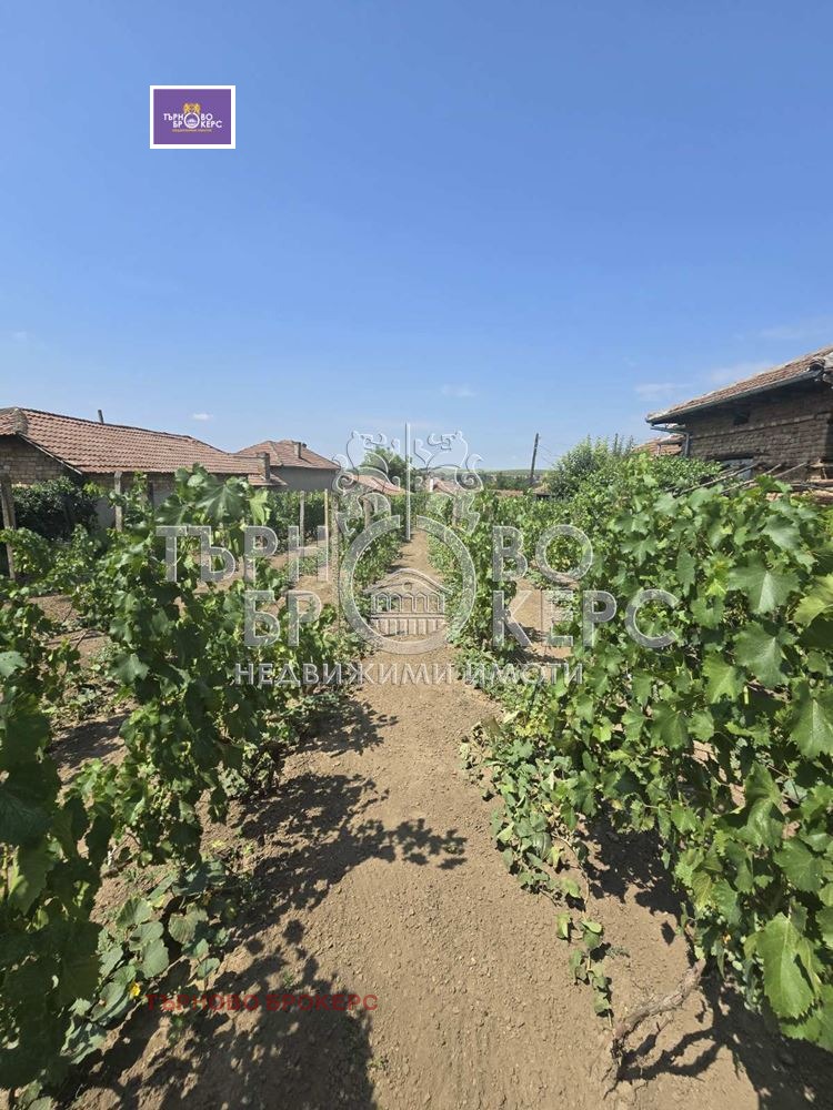 Продава КЪЩА, с. Козловец, област Велико Търново, снимка 8 - Къщи - 55527330