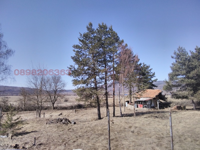 Продава БИЗНЕС ИМОТ, с. Байкалско, област Перник, снимка 3 - Други - 53525660