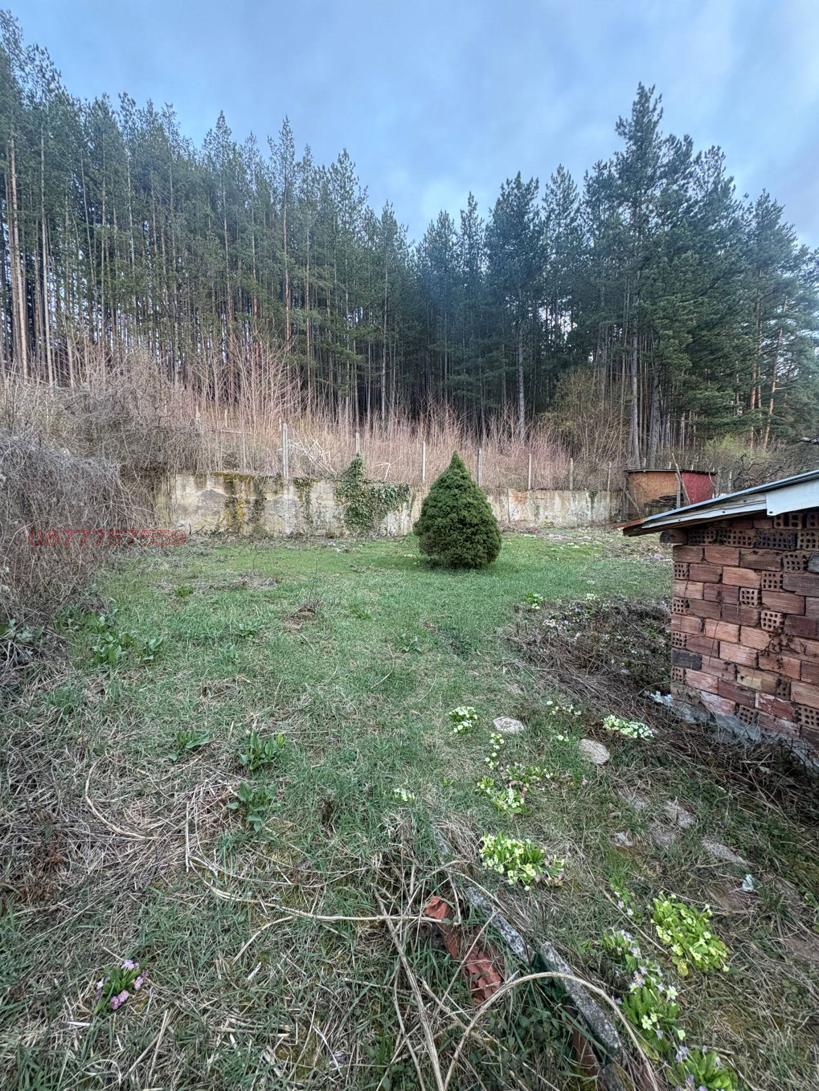 Продава КЪЩА, с. Владо Тричков, област София област, снимка 3 - Къщи - 54011776