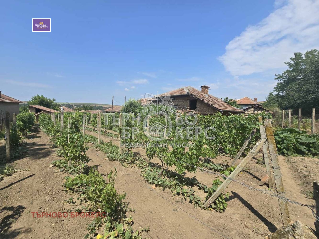 Продава КЪЩА, с. Козловец, област Велико Търново, снимка 4 - Къщи - 55527330