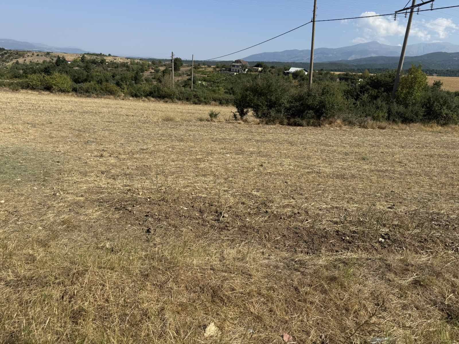 Продава ПАРЦЕЛ, с. Дъбрава, област Благоевград, снимка 3 - Парцели - 55350026