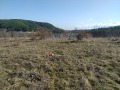 Продава ПАРЦЕЛ, яз. Кърджали, област Кърджали, снимка 6