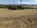 Продава ПАРЦЕЛ, с. Дъбрава, област Благоевград, снимка 2