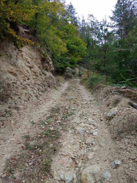 ������� ���������� ���� | Imot.bg � ����������� 7