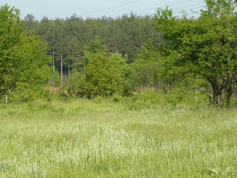 ������� ���������� ���� | Imot.bg � ����������� 3