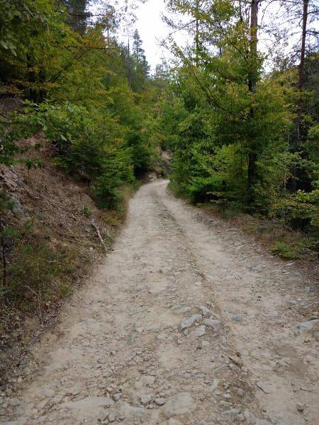 ������� ���������� ���� | Imot.bg � ����������� 9