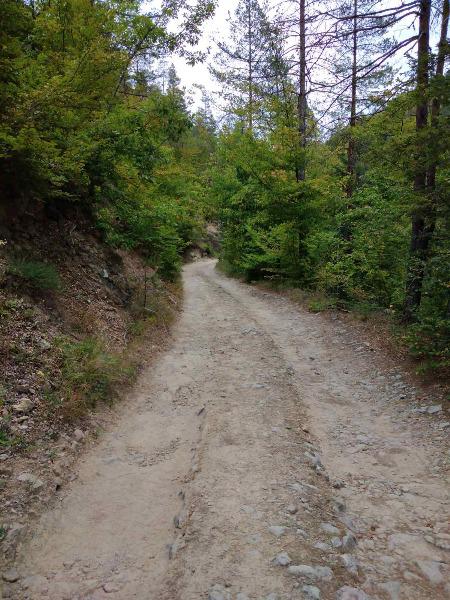 ������� ���������� ���� | Imot.bg � ����������� 8