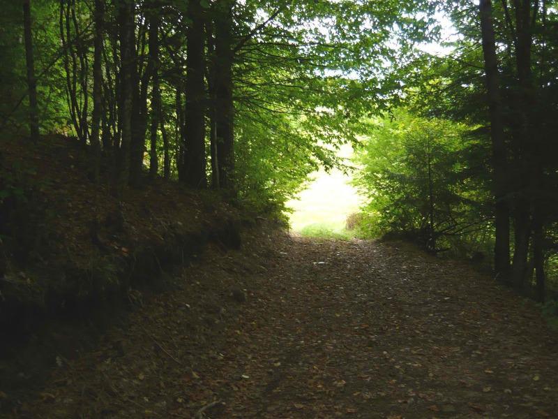 ������� ���������� ���� | Imot.bg � ����������� 1