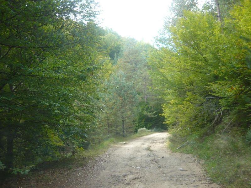 ������� ���������� ���� | Imot.bg � ����������� 4