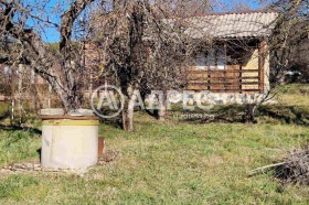 ������ ������� ������