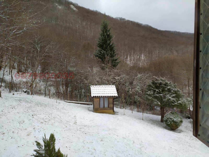 Продава КЪЩА, гр. Драгоман, област София област, снимка 2 - Къщи - 53382451