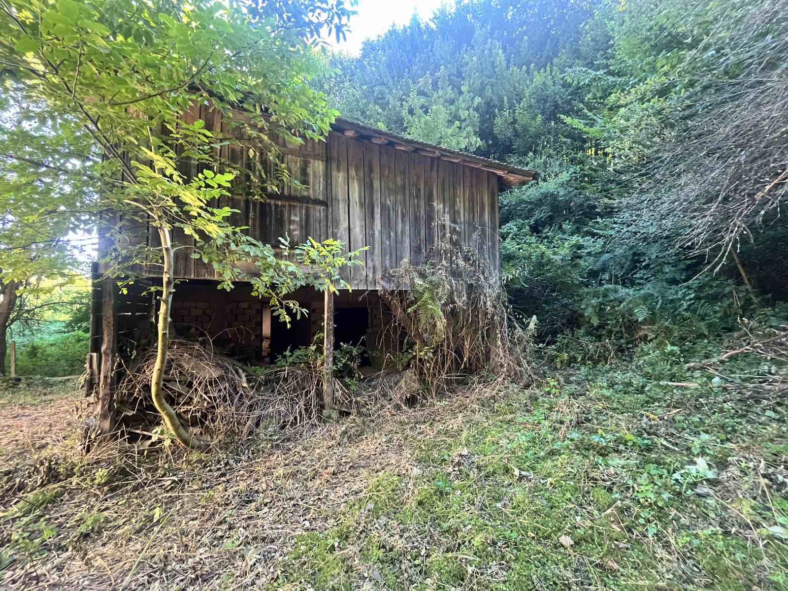 Продава КЪЩА, с. Валевци, област Габрово, снимка 4 - Къщи - 55706939