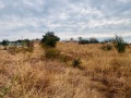 Продава ПАРЦЕЛ, с. Негушево, област София област, снимка 12