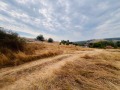 Продава ПАРЦЕЛ, с. Негушево, област София област, снимка 8