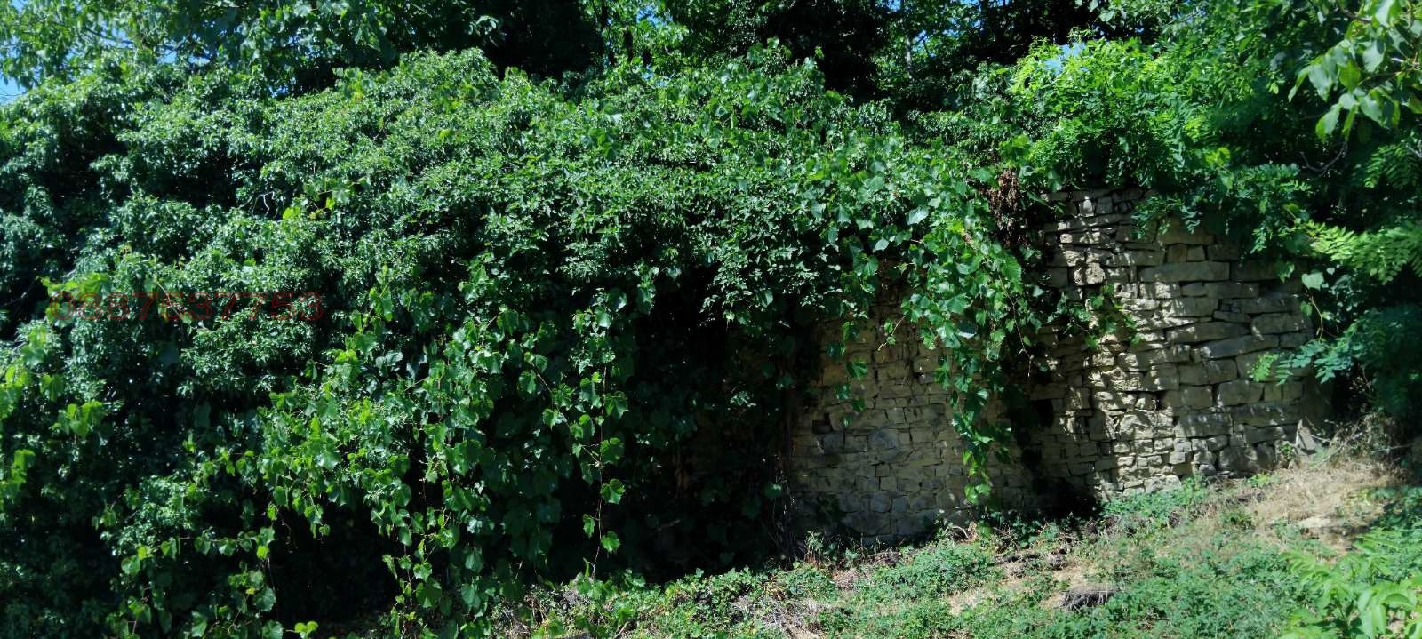 ������� ���� | Imot.bg � ����������� 10