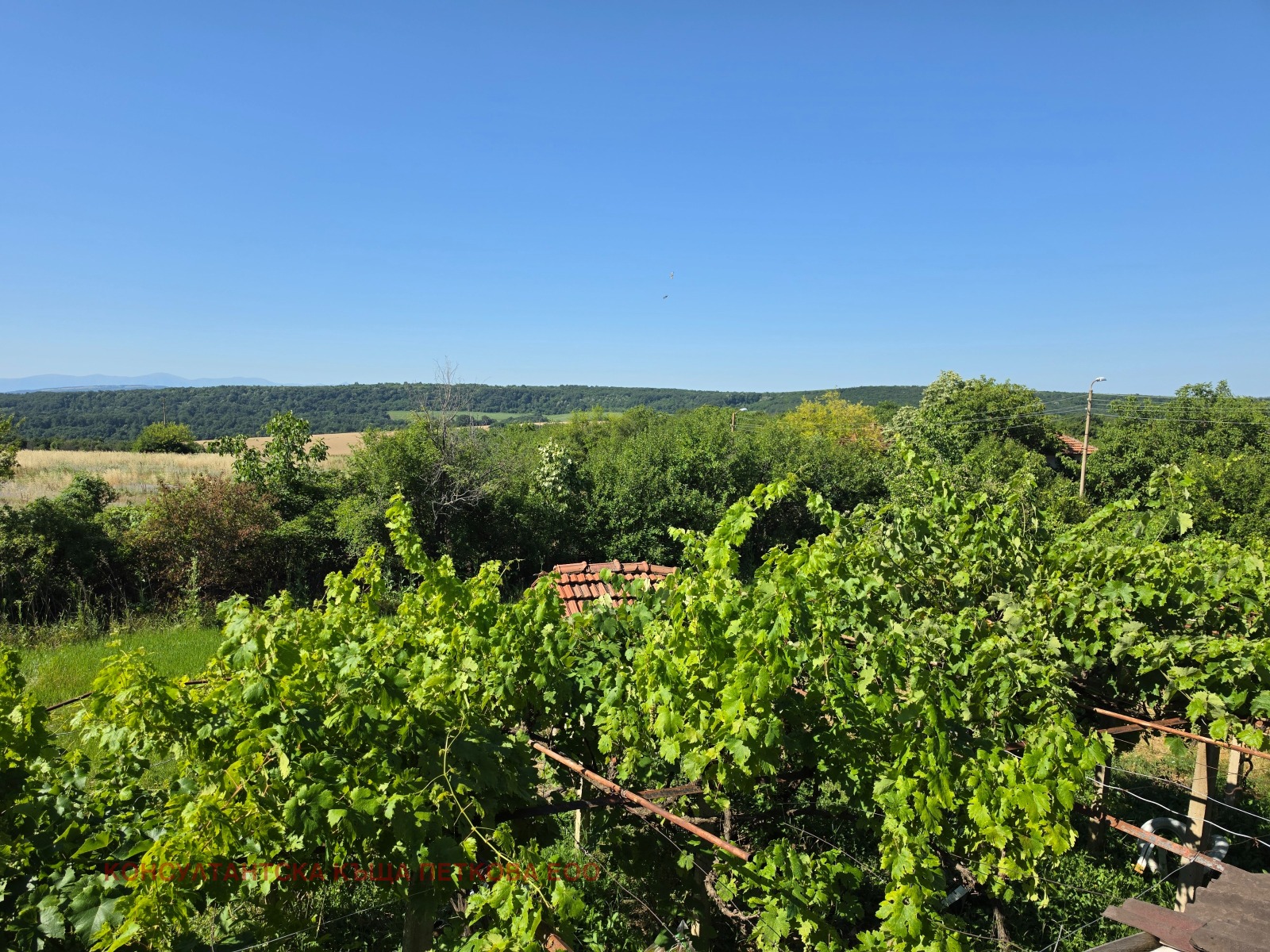 ������� ���� | Imot.bg � ����������� 1
