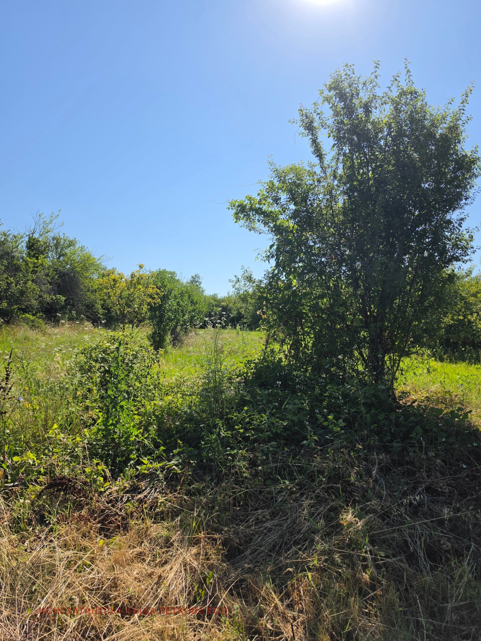 ������� ���� | Imot.bg � ����������� 4